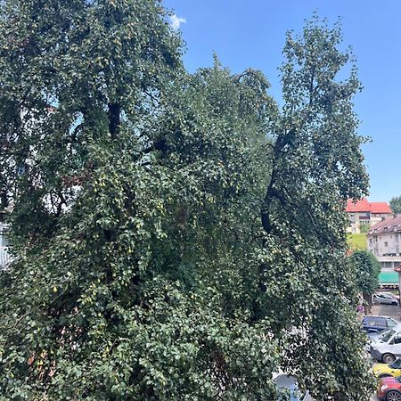 Hotel Dulovic Mojkovac Kültér fotó
